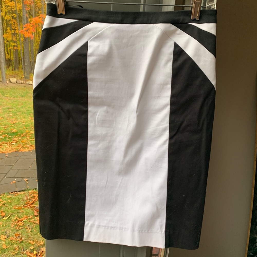 Dressy Skirt